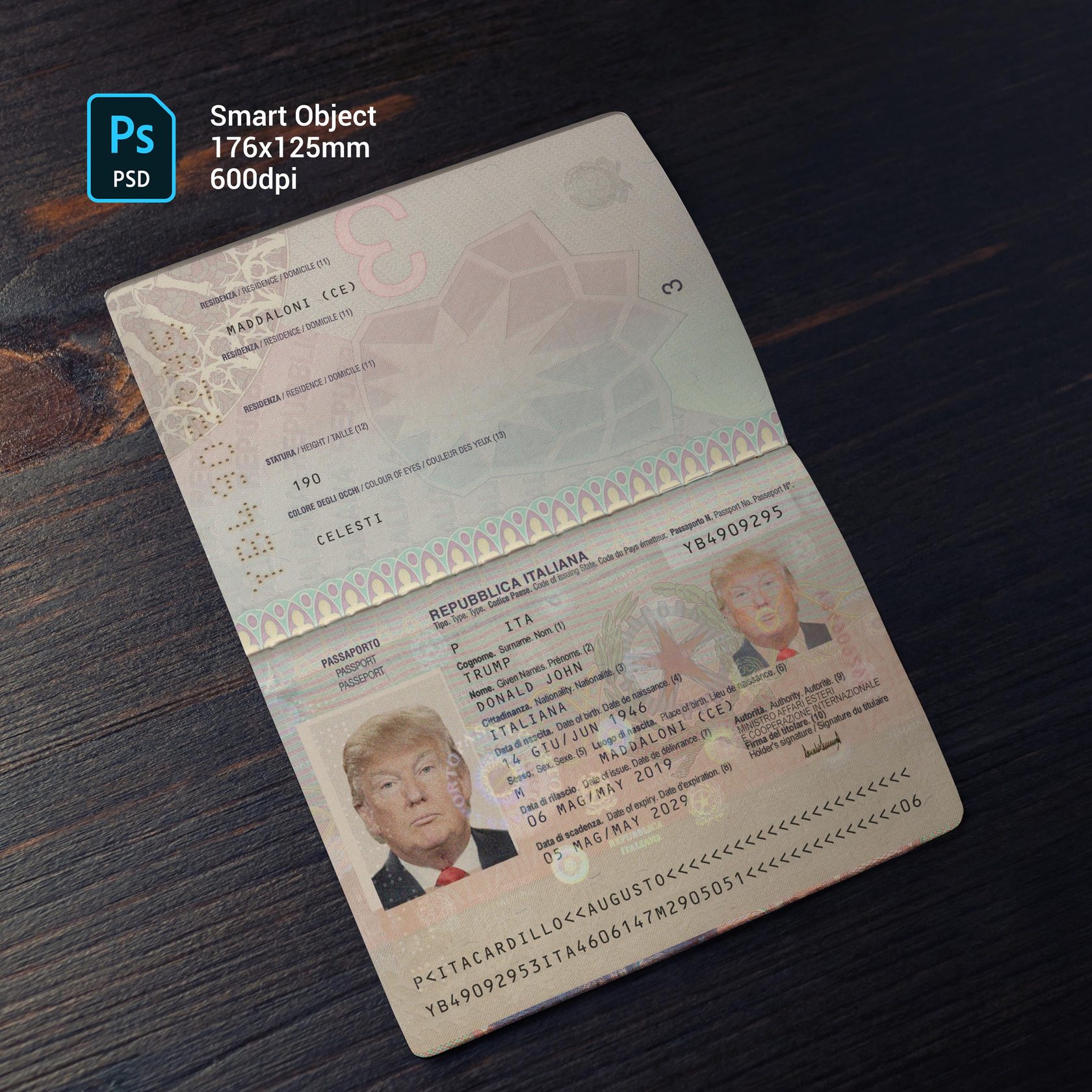 Italy Passport 2010 PSD Template — buy editable Italy Passport ...